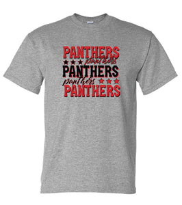 NorthWood - Gray Panthers with Stars